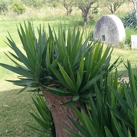 Bed & Breakfast Kepos Tortolì