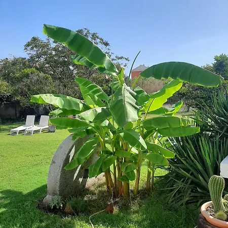 Bed & Breakfast Kepos 3*